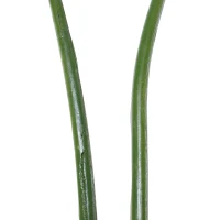 Outsunny Planta Artificial de Decoração Planta Palmeira Artificial com Vaso 10 Folhas para Exterior e Interior Ø18x180cm Verde(m-7)