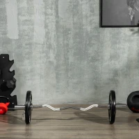 SPORTNOW Set 2 Dischi Pesi 15kg in Acciaio Rivestimento in Gomma per Bilanciere(m-9)