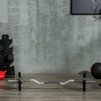 SPORTNOW Set de 2 discuri de 5kg greutate din otel cu acoperire din cauciuc, gaura Ø5cm pentru mreana si manere pentru utilizare manuala(m-9)