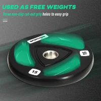 SPORTNOW Set 2 Dischi Pesi 15kg in Acciaio Rivestimento in Gomma per Bilanciere(m-4)