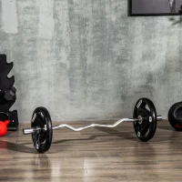 SPORTNOW Set 2 Dischi Pesi 15kg in Acciaio Rivestimento in Gomma per Bilanciere(m-10)