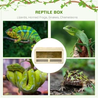 PawHut Reptile Terrarium Vivarium Habitat w/ Transparent Sliding Doors, Breathable Mesh, for Lizards, Horned Frogs, Snakes and Chameleons, 60 x 29.5 x 29.5cm(m-4)