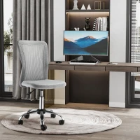 Vinsetto Office Chair, Armless Desk Chair, Adjustable Computer Swivel Chair with Rolling Wheels and Mesh Back for Home Work Study, Grey(m-10)