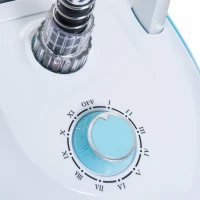 HOMCOM Ferro de Engomar Vertical Depósito 2L 1950W e Temperatura Ajustável em 11 Níveis 24x35x47,5-122,5 cm Azul e Branco(m-9)