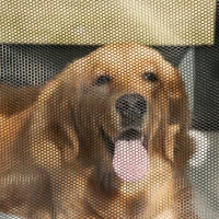 PawHut 97cm Foldable Pet Carrier for Large Medium Dogs, Portable Cat Carrier, Soft Travel Bag, Grey(m-9)