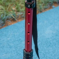 HOMCOM Foldable Adjustable Kick Scooter, with Dual Shock Absorber and ABEC-9 Bearing - Red(m-8)