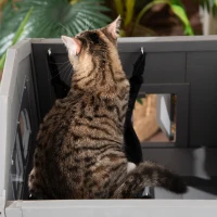 PawHut Solid Wood Cat Condos Natural Water Proof Outdoor 2-Floor Pet Shelter(m-9)