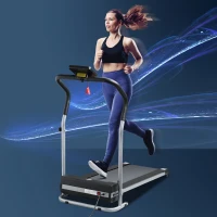 HOMCOM Passadeira Elétrica Dobrável Passadeira com Velocidade 1-10km/h Ecrã LCD Parada de Emergência e Carga Máxima 110kg para Casa Escritório Ginásio 122x62,5x119cm Prata e Preto(m-2)