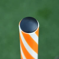 Drążki do slalomu dla psów do treningu agility z torbą z tkaniny Oxford pomarańczowy + biały(m-7)