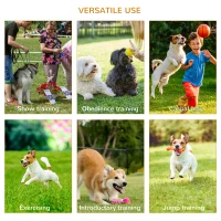 PawHut 3 Piece Pet Agility Training Equipment Dog Play Run Jump Obedience Training Set Adjustable (Pole + Hoop + Hurdle)(m-7)