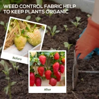 Outsunny 2 x 25 m Bariere Impotriva Buruienilor, Tesatura pentru Peisaj, pentru Controlul Buruienilor in Sere si Gradini, Robusta si Usor de Montat(m-6)