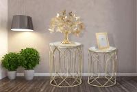 Mauro Ferretti Set din 2 masute TUNISI CM Ø 42X53-38X47(m-9)