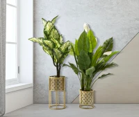 Mauro Ferretti Suport De Vaza Golvy Set 2 Buc -A- Cm Ø 21X40-19X22(m-6)