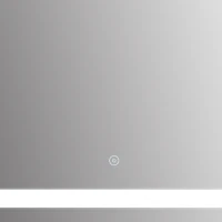 HOMCOM LUSTRO ŁAZIENKOWE Z OŚWIETLENIEM LED 50x70(m-9)