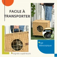 PawHut Caisse de transport pour chat avec roulettes et poignée télescopique en résine tressée effet rotin coussin inclus marron(m-5)