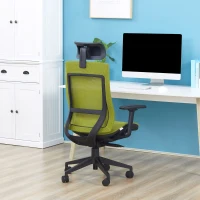 Vinsetto Cadeira de Escritório Giratória Ergonômica com Altura Ajustável Apoio para os Braços Apoio para a Cabeça e Encosto Alto de Malha 66,5x66x120-128cm Verde(m-10)