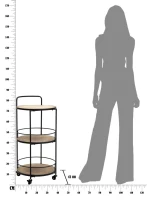 Mauro Ferretti Carucior AREX CM 40X41,5X82(m-7)