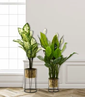 Mauro Ferretti SET SUPORT DE FLORI -A- CM Ø 21X40-19X22(m-5)