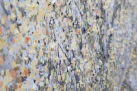 Mauro Ferretti Pictura Pe Panza Arbore Simplu -B- Cm 120X3,8X80(m-4)
