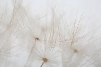 Mauro Ferretti IMPRIMEU PICTAT TIN CM 80X3X120(m-2)