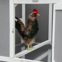 PawHut Hühnerstall Hühnerhaus mit Nistkasten Hühnervoliere mit Rädern und Griff Gehege Geflügelstall winterfest Tannenholz kunststoff Grau+Weiß 247 x 90 x 114 cm(m-8)