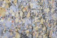 Mauro Ferretti PICTURA pe panza arbore simplu -A- CM 80X3,8X120(m-4)