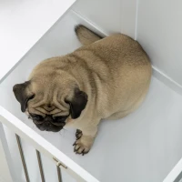 PawHut Dog Crate with 2 Doors, Dog Crate, Lockable, Steel Grating, 80 cm x 50 cm x 56.5 cm, White + Silver(m-5)