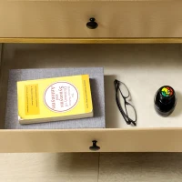 HOMCOM Estantería de 4 Niveles Estantería para Salón Moderno con 2 Cajones de Tela no Tejida y Marco de Acero 60x40x163cm Roble(m-9)