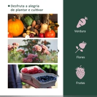 Outsunny Estufa de Jardim 200x100x80 cm para Cultivo de Plantas Sementes Estufa com Estrutura de Aço e Cobertura de Plástico Verde(m-6)