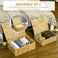 HOMCOM Lot de 2 boites de rangement en jacinthe d'eau avec couvercle et poignées 2 tailles différentes design bohème naturel(m-4)