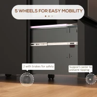 Vinsetto 2-Drawer Mobile Filing Cabinet, Steel Lockable File Cabinet for Letter, A4 and Legal Size, Pre-Assembled Body, Black(m-7)