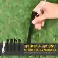 Outsunny 8ft Inflatable Halloween Ghost Tree with Upside-down Bats Showing Teeth Wings, Blow-Up Outdoor LED Display for Lawn, Garden, Party(m-8)