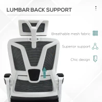 Vinsetto Ergonomic Office Chair, High Back Desk Chair, Reclining Mesh Computer Chair with Adjustable Headrest, Lumbar Support, Foot Rest, Swivel Wheels, Adjustable Height, Black(m-6)