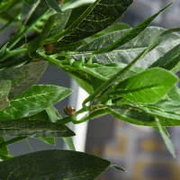 Outsunny Indoor Tall Artificial Plants, Set of 2, Decorative Plant with Nursery Pot for Indoor Outdoor Décor, 120cm(m-11)