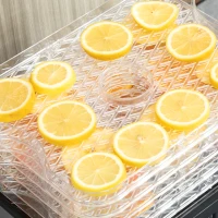 HOMCOM 5 Tier Food Dehydrator, 245W Stainless Steel Food Dryer Machine with Adjustable Temperature, Timer and LCD Display for Drying Fruit, Meat, Vegetable, Jerky and Pet Treat, Black(m-8)