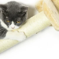 PawHut Katten trap, 5-delige set, 2 krabpalen, 2 platforms met pluche bekleding, hangmat, beige(m-8)