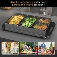 HOMCOM 4 Tray Electric Food Warmer Buffet Server with Warming Plate, Cool Touch Handles, Adjustable Temperature, 300W, 2 x 2.4L and 2 x 1L Pans(m-4)