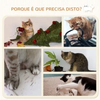 PawHut Prateleiras de Escalada para Gatos de Parede com Rede Plataformas Poste de Sisal e Escada 84,5x19x54 cm Cinza e Bege(m-6)
