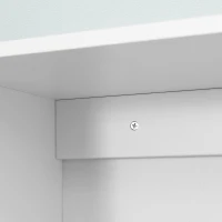 kleankin Armario de Pared Baño de 2 Puertas de Cristal Armario Colgante Multiusos para Cocina Salón con Estantes Interiores y Balda Ajustable 55x20x65 cm Blanco(m-8)
