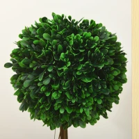 HOMCOM Set de 2 Plante Artificiale Decorative, 60cm(m-7)