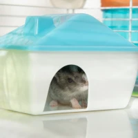 PawHut Cusca Extra Mare pentru Hamsteri cu Tuneluri(m-9)