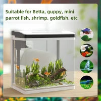PawHut 13L Glass Aquarium Fish Tank with Filter, LED Lighting, for Betta, Guppy, Mini Parrot Fish, Shrimp, 29 x 20 x 30.5cm(m-4)