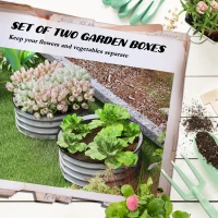 Outsunny Set de 2 Paturi inaltate pentru Gradina, Jardiniera inaltata pentru Exterior cu Margine de Protectie(m-4)
