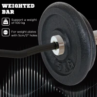 SPORTNOW 120cm Curl Bar and Barbell Set, Barbell Bar for 5cm Weight Plates for Loading 200kg Weight Plates, for Home Gym Weight Training(m-5)