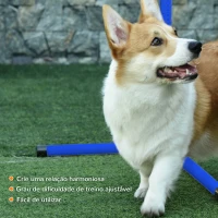PawHut Conjunto de Treinamento de Agilidade para Cães 4 Peças Obstáculos de Salto com Altura Ajustável 99x65x94 cm  Azul(m-6)