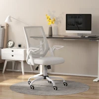 Vinsetto Mesh Office Chair, Computer Desk Chair with Flip-up Armrests, Lumbar Back Support and Swivel Wheels, White(m-2)
