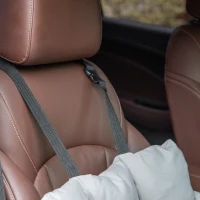 PawHut Seggiolino Auto per Cani Piccoli Sfoderabile e Lavabile con Cinghie di Sicurezza, Grigio Scuro(m-8)