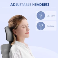 Vinsetto Ergonomic Office Chair, Mesh Desk Chair with Rotatable Headrest, Lumbar Back Support, Armrest, Grey(m-6)