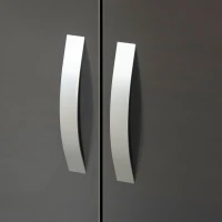 HOMCOM Dulap din PAL cu 2 usi cu sina inclusa, design lucios si anti-inclinare, 76x47x160cm, gri(m-8)