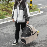 PawHut 2 In 1 Foldable Dog Stroller, Aluminium Pet Travel Carrier, with Adjustable Canopy, Universal Wheel, Brake, Basket Storage Bag, for Small Dogs Light Brown(m-4)
